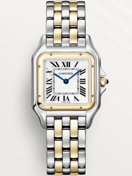 Cartier Panthère Medium «Steel/Gold»